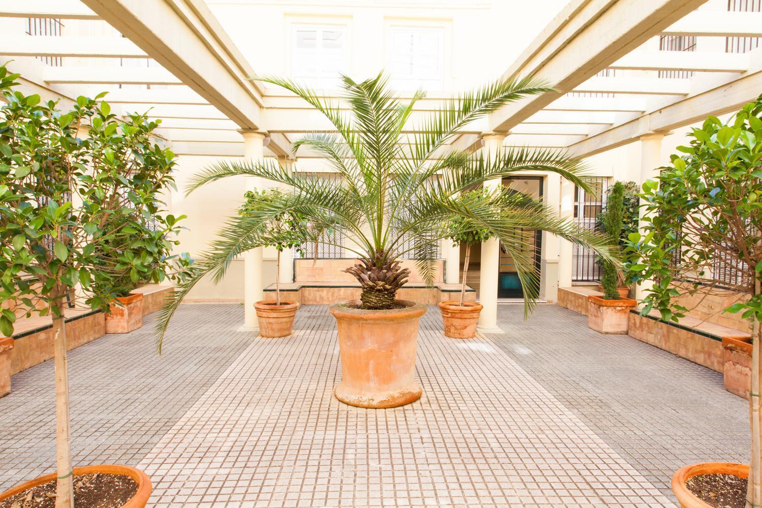 Apartament Placentines