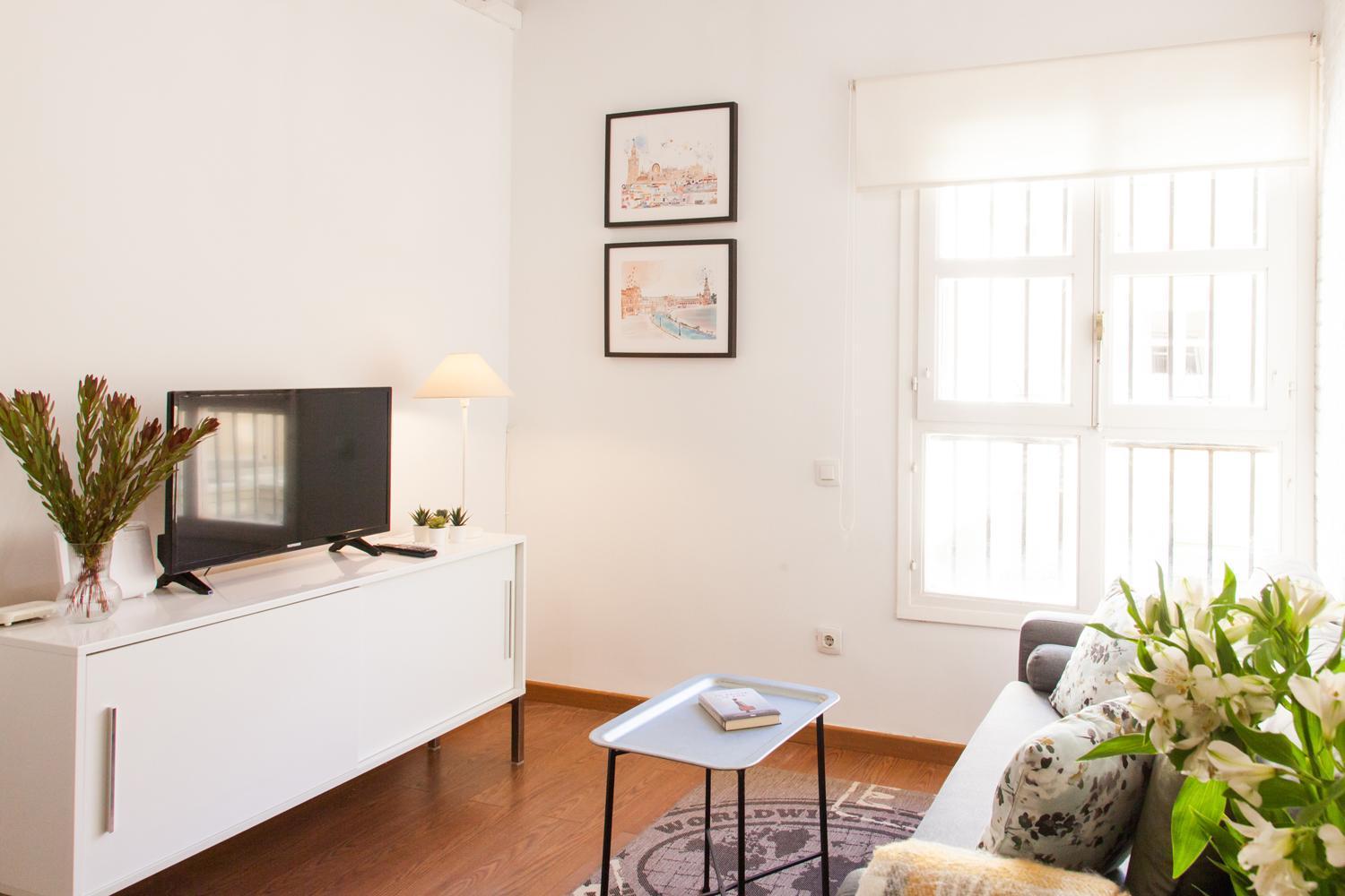Apartament Placentines *